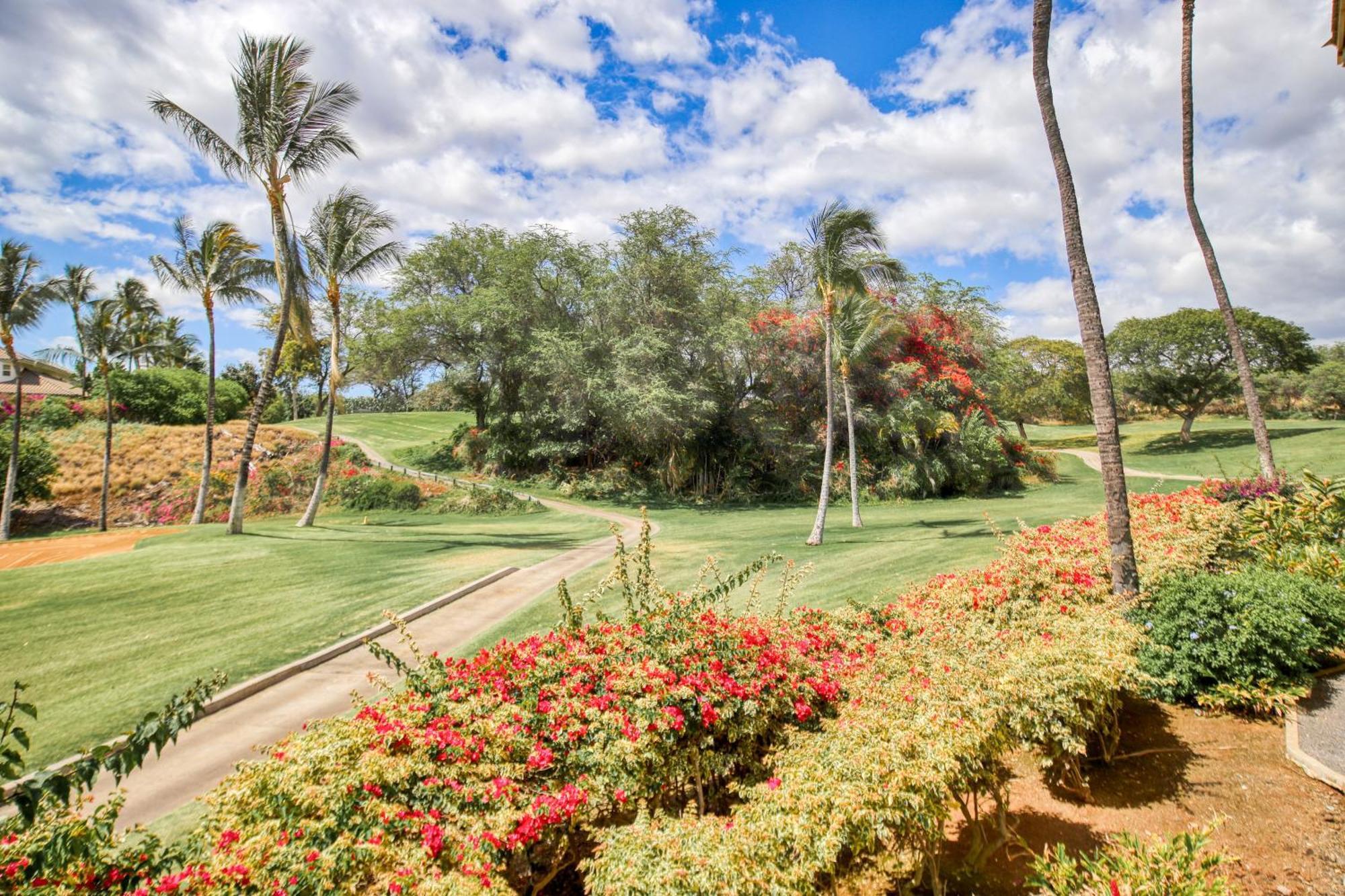Wailea Grand Champions Villa Room photo