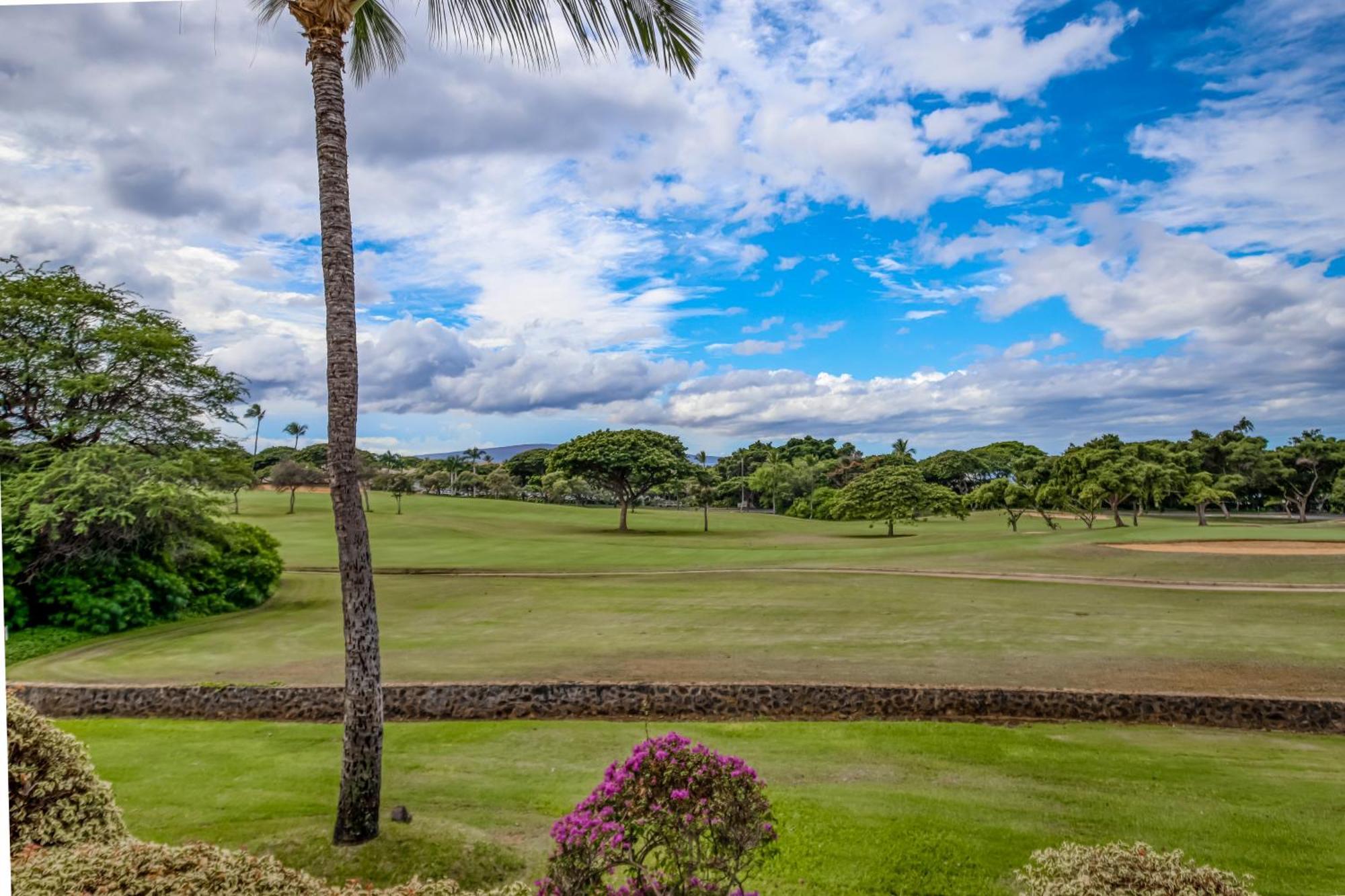 Wailea Grand Champions Villa Room photo